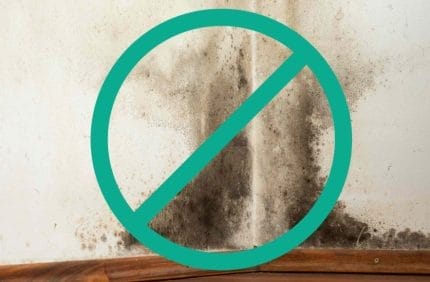 EcoPod Modular Home - Mold Resistant Panels