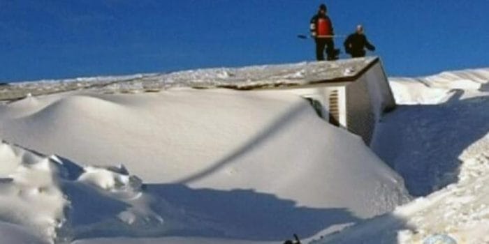 Options and Features for Prefabricated Modular Cottages